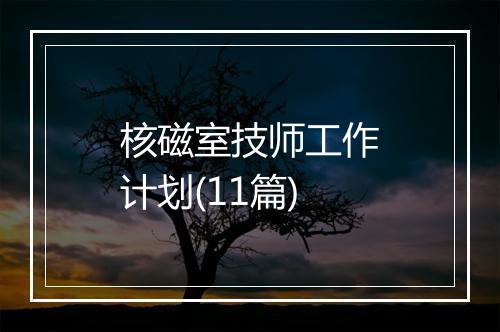 核磁室技师工作计划(11篇)