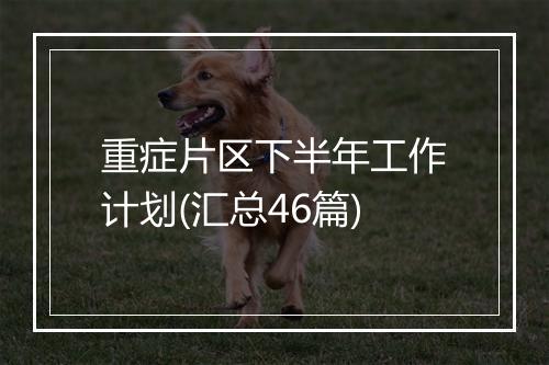 重症片区下半年工作计划(汇总46篇)