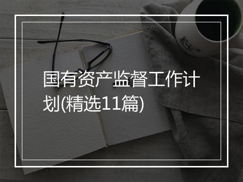 国有资产监督工作计划(精选11篇)