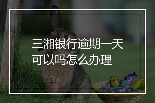 三湘银行逾期一天可以吗怎么办理