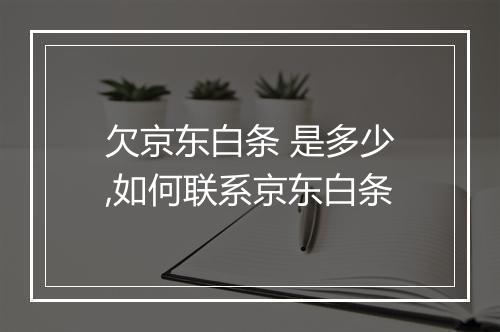 欠京东白条 是多少,如何联系京东白条