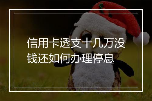 信用卡透支十几万没钱还如何办理停息