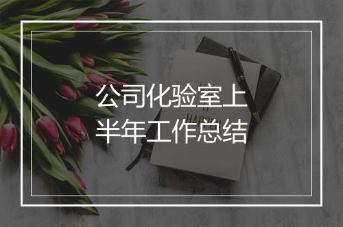 公司化验室上半年工作总结