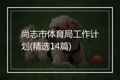 尚志市体育局工作计划(精选14篇)