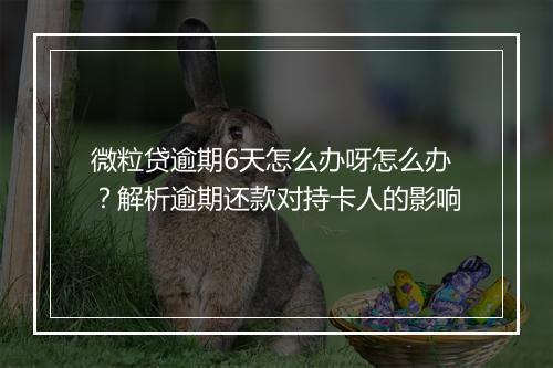 微粒贷逾期6天怎么办呀怎么办？解析逾期还款对持卡人的影响