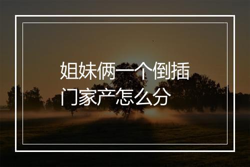 姐妹俩一个倒插门家产怎么分