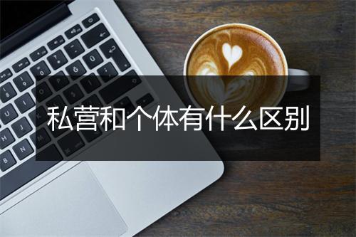 私营和个体有什么区别