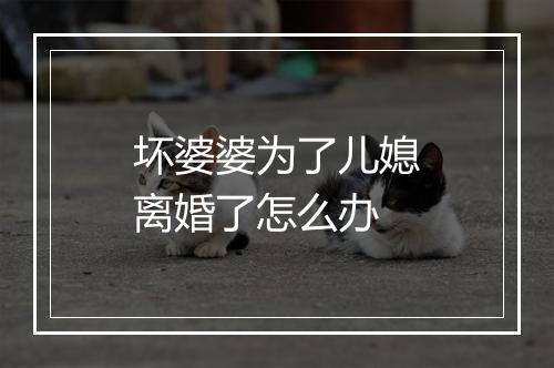 坏婆婆为了儿媳离婚了怎么办