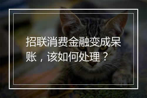 招联消费金融变成呆账，该如何处理？