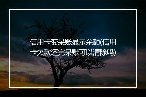 信用卡变呆账显示余额(信用卡欠款还完呆账可以清除吗)