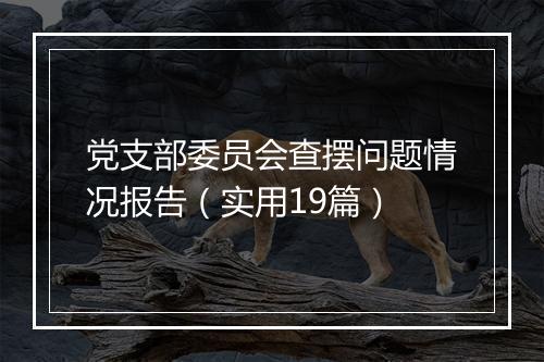 党支部委员会查摆问题情况报告（实用19篇）