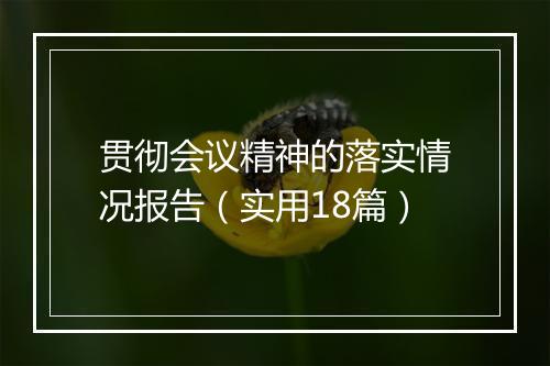 贯彻会议精神的落实情况报告（实用18篇）