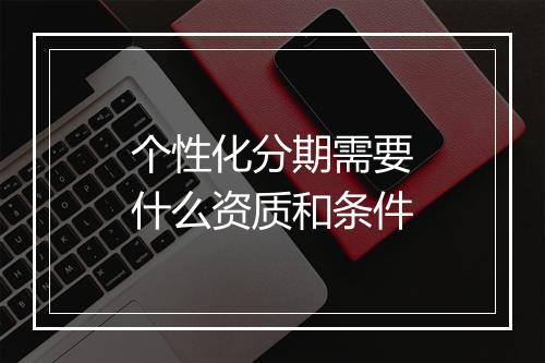 个性化分期需要什么资质和条件