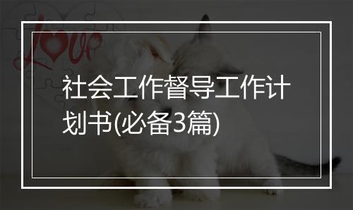 社会工作督导工作计划书(必备3篇)