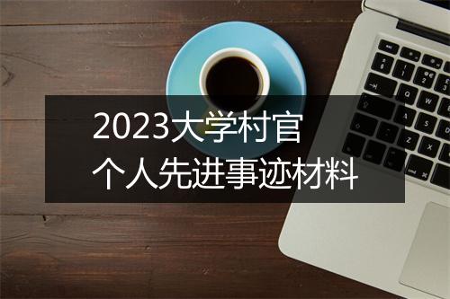 2023大学村官个人先进事迹材料