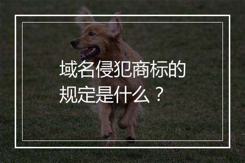 域名侵犯商标的规定是什么？