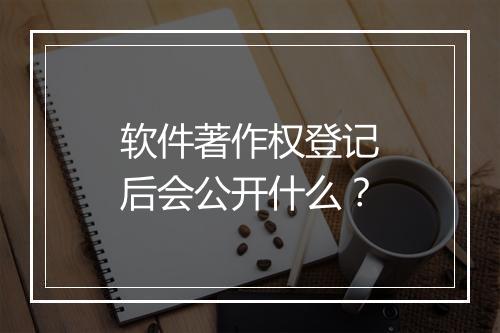 软件著作权登记后会公开什么？