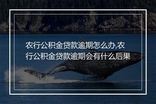 农行公积金贷款逾期怎么办,农行公积金贷款逾期会有什么后果