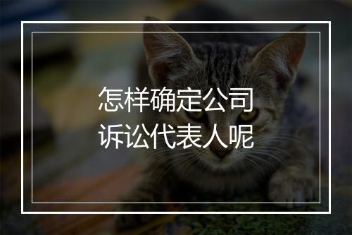 怎样确定公司诉讼代表人呢