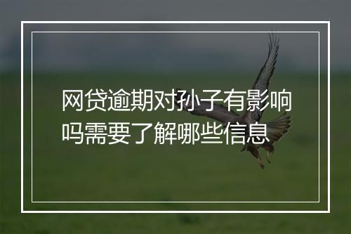 网贷逾期对孙子有影响吗需要了解哪些信息