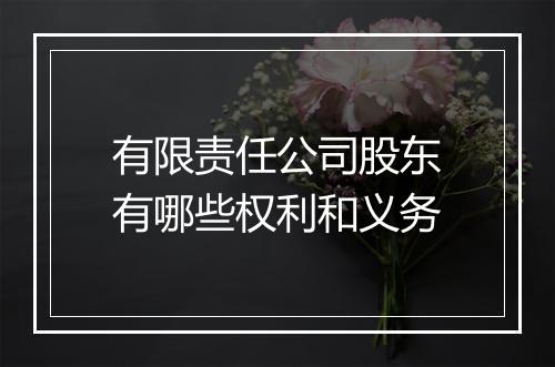 有限责任公司股东有哪些权利和义务