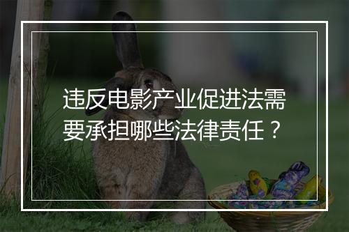 违反电影产业促进法需要承担哪些法律责任？