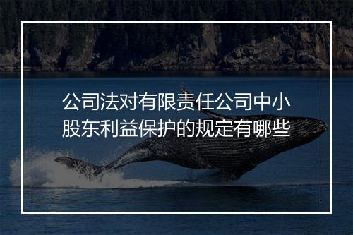 公司法对有限责任公司中小股东利益保护的规定有哪些