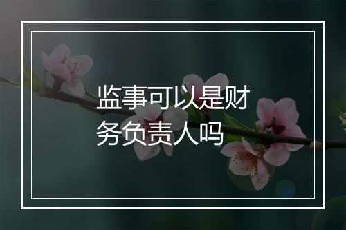 监事可以是财务负责人吗