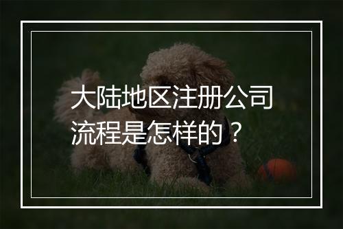 大陆地区注册公司流程是怎样的？