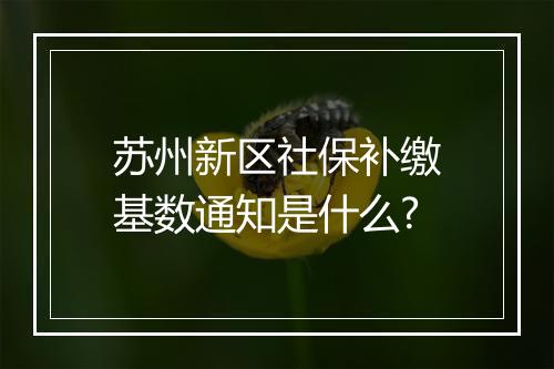 苏州新区社保补缴基数通知是什么?