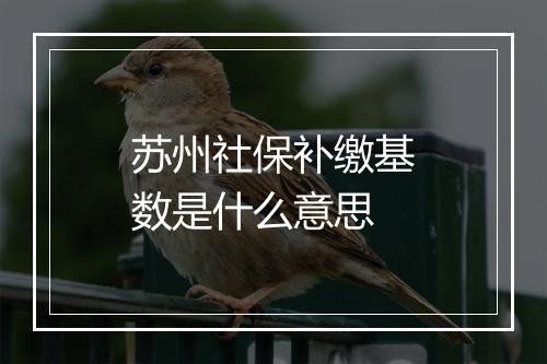 苏州社保补缴基数是什么意思