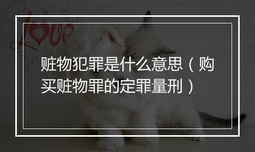 赃物犯罪是什么意思（购买赃物罪的定罪量刑）
