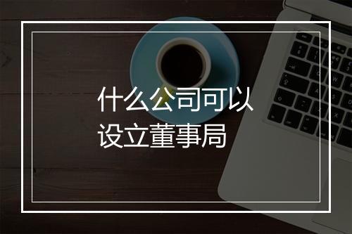 什么公司可以设立董事局