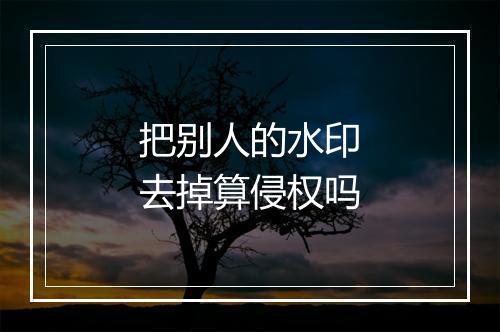 把别人的水印去掉算侵权吗