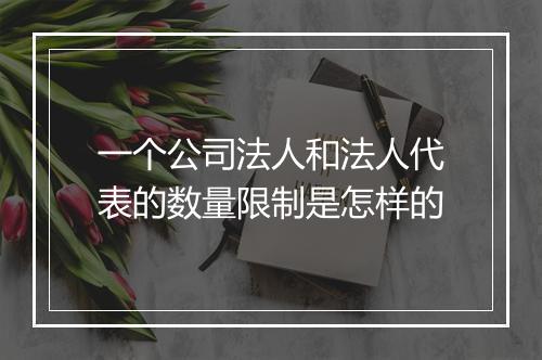 一个公司法人和法人代表的数量限制是怎样的