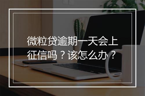 微粒贷逾期一天会上征信吗？该怎么办？