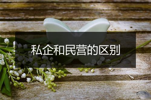私企和民营的区别