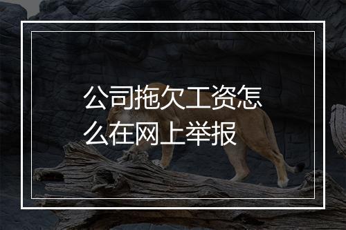 公司拖欠工资怎么在网上举报