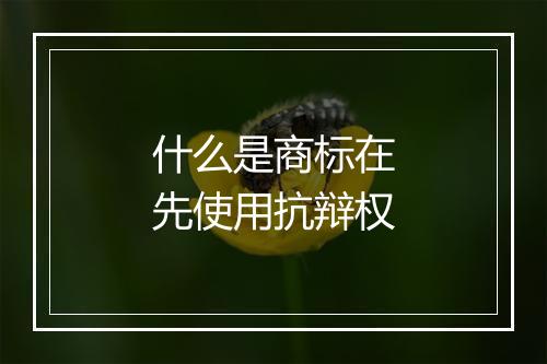 什么是商标在先使用抗辩权