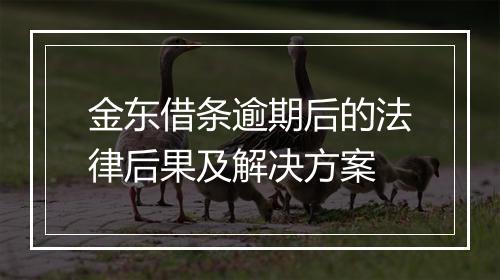 金东借条逾期后的法律后果及解决方案