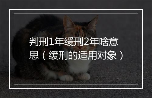 判刑1年缓刑2年啥意思（缓刑的适用对象）