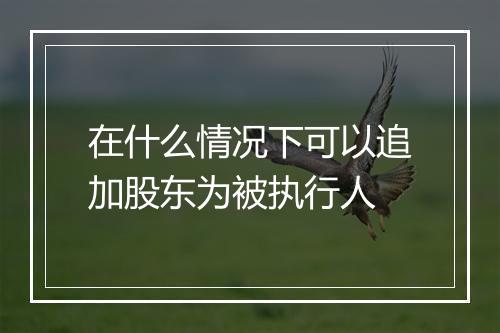 在什么情况下可以追加股东为被执行人