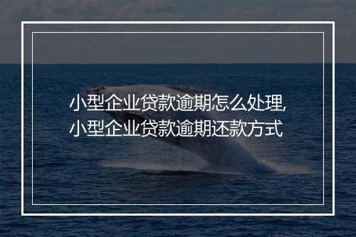 小型企业贷款逾期怎么处理,小型企业贷款逾期还款方式