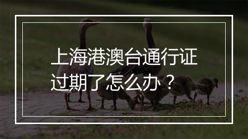 上海港澳台通行证过期了怎么办？