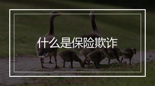 什么是保险欺诈