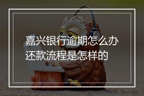 嘉兴银行逾期怎么办还款流程是怎样的