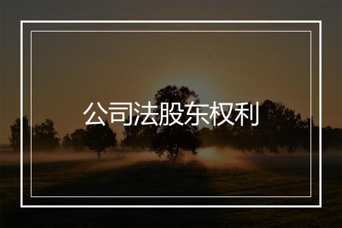 公司法股东权利
