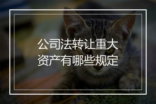 公司法转让重大资产有哪些规定