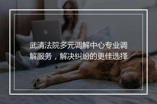 武清法院多元调解中心专业调解服务，解决纠纷的更佳选择