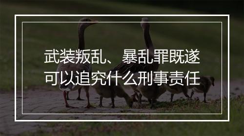 武装叛乱、暴乱罪既遂可以追究什么刑事责任